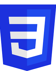 CSS Logo